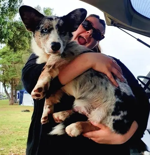 Iago being held