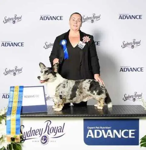 Sydney royal
