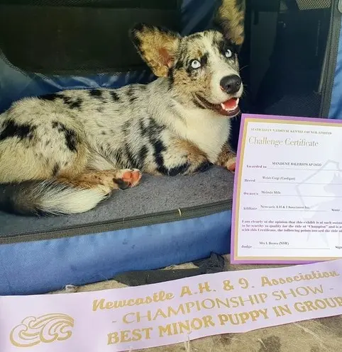 winning