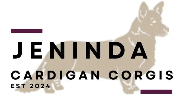 Jeninda Corgis