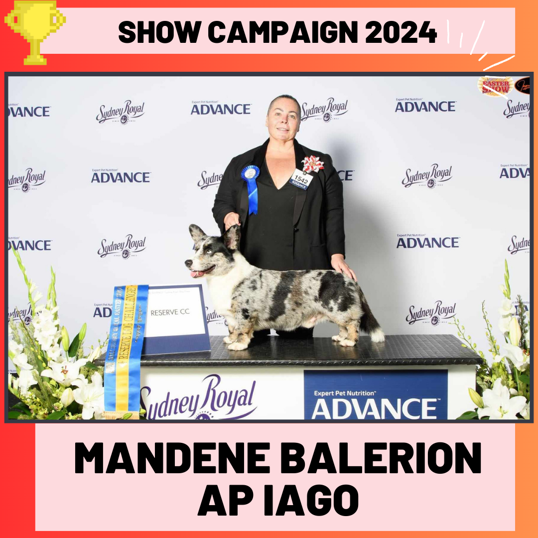 2024 Campaign