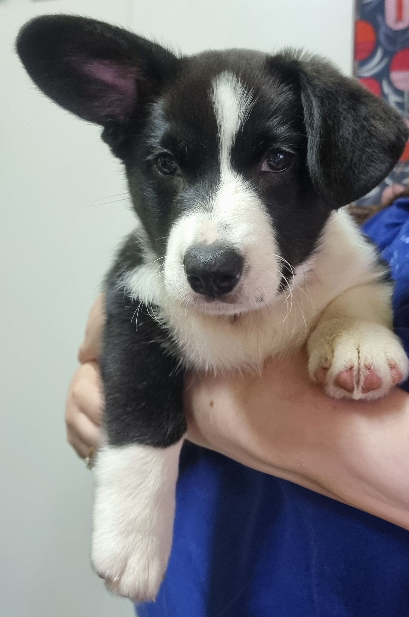 515705641_24628505030101149_2388857374976676773_n